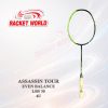 ASSASSIN TOUR