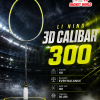 3D CALIBAR 300