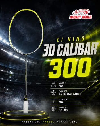 3D CALIBAR 300